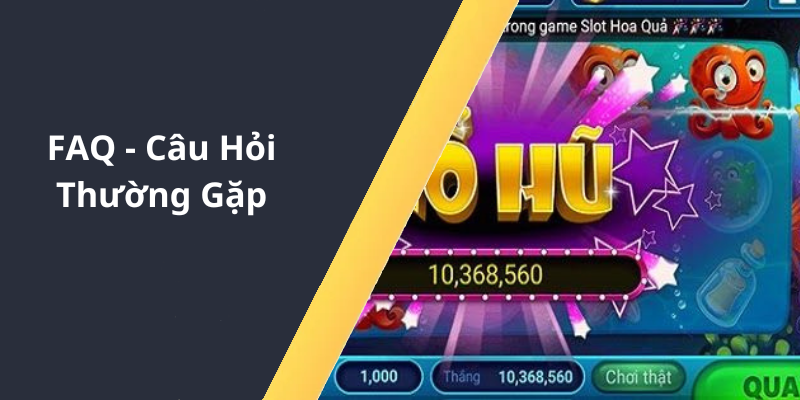 FAQ - Câu Hỏi Thường Gặp