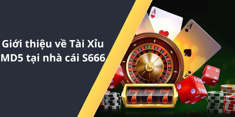 Giới thiệu về Tài Xỉu MD5 tại nhà cái S666