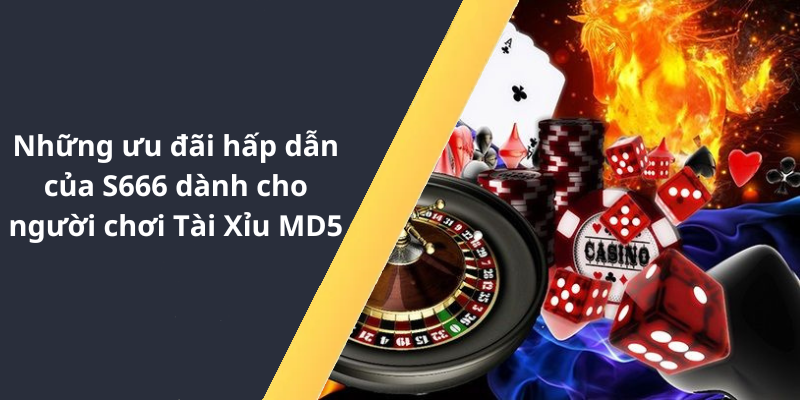 Những ưu đãi hấp dẫn của S666 dành cho người chơi Tài Xỉu MD5