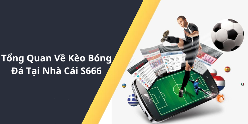 Kèo Bóng Đá Tại Nhà Cái S6666 - Đam Mê và Chiến Lược