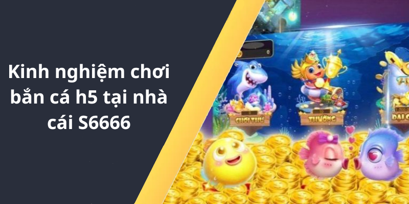 Kinh nghiệm chơi bắn cá h5 tại nhà cái S6666