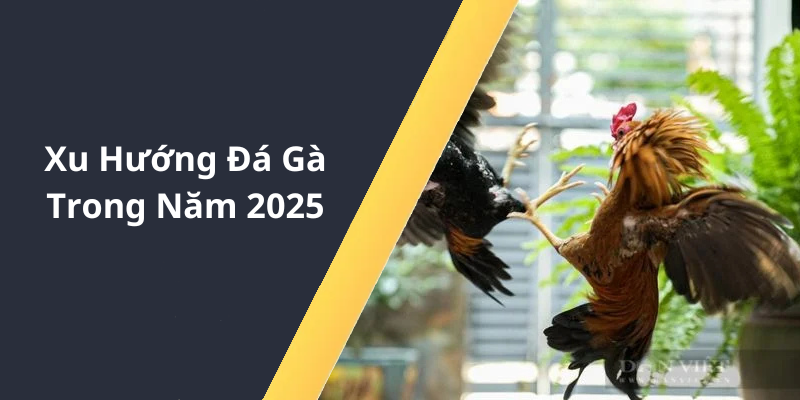 Xu Hướng Đá Gà Trong Năm 2025