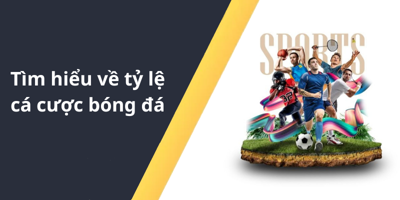 Tìm hiểu về tỷ lệ cá cược bóng đá