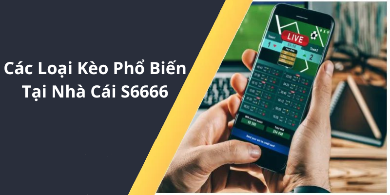 Các Loại Kèo Phổ Biến Tại Nhà Cái S6666