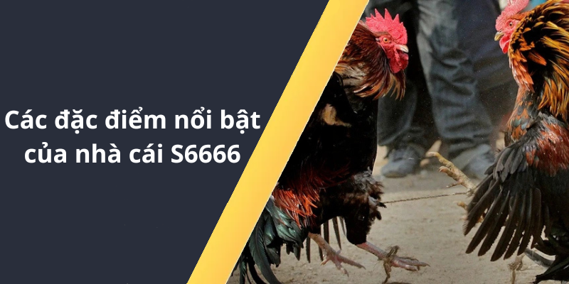 Các đặc điểm nổi bật của nhà cái S6666