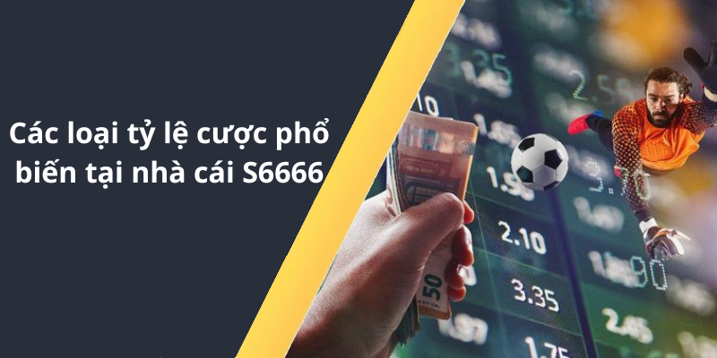 Các loại tỷ lệ cược phổ biến tại nhà cái S6666