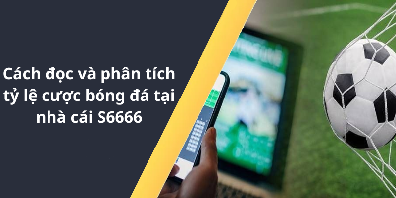 Cách đọc và phân tích tỷ lệ cược bóng đá tại nhà cái S6666