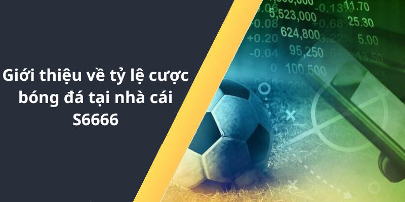 Giới thiệu về tỷ lệ cược bóng đá tại nhà cái S6666