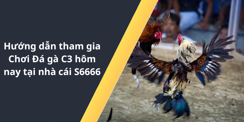 Hướng dẫn tham gia Chơi Đá gà C3 hôm nay tại nhà cái S6666